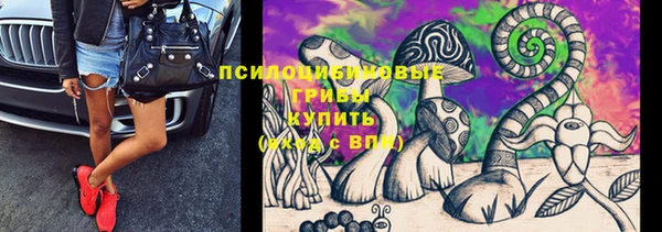 шишки Алексин