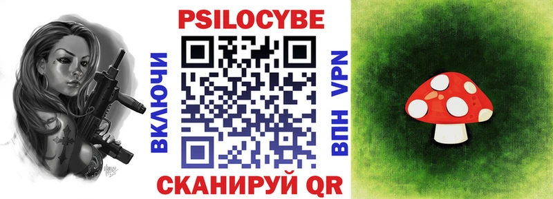 ссылка на мегу онион  Камбарка  Псилоцибиновые грибы прущие грибы 